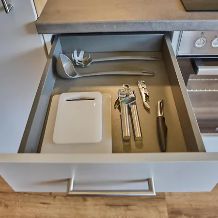 Barons Living Apartment Sankt Michael im Lungau